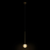 10251 Gold_2