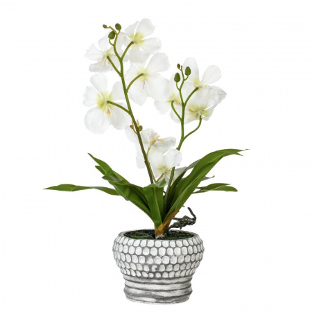 34478_c3b33063814eb8bc842b616f01a713a9