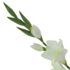 16390_ce2e00617e10a85861e549007d5fea2f