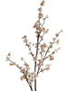 31490_A0023-PINK_2