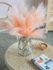 24512_SA20013-BLUS-AB_16