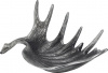 11709_SA80081-DS_1