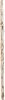 33745_48110-DS_7