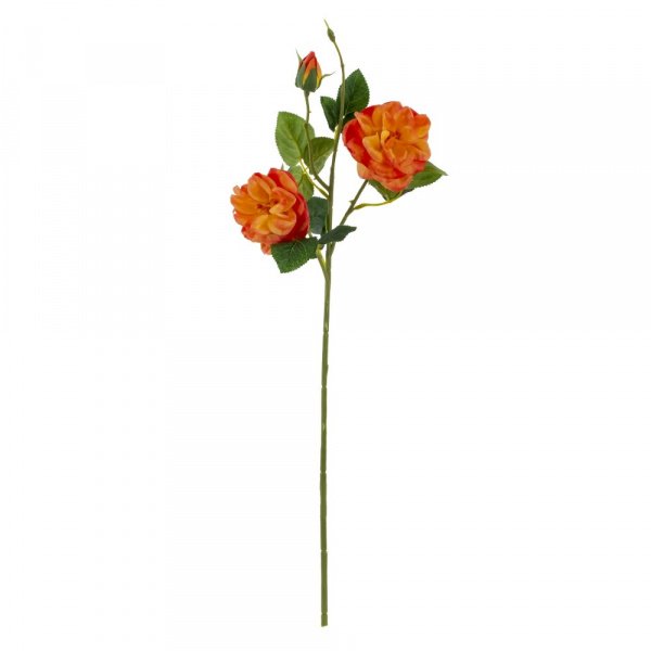 33096_760773d82d537230684a3a7a211e7fc3