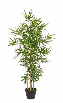 Растение декоративное BIZZOTTO BAMBOO 0172384 d600х1300h