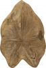 2227_SA80207_3