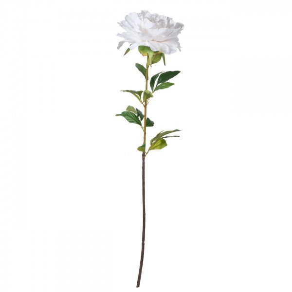 10335_F4685-WHIT