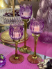 TULIP purple_3