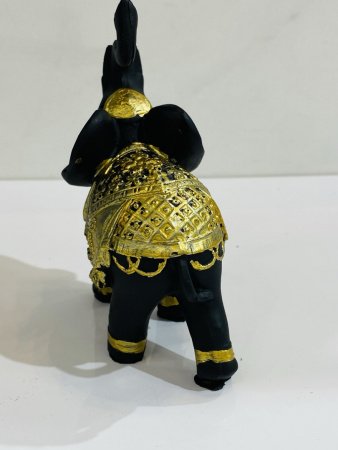 IMG_1115 (2)