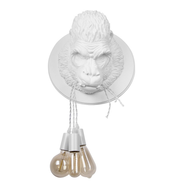10178 White_1
