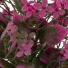 33010_bf45d4df3cfd93859e7fdddf4307cacf