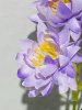 IMG_4014 (2)