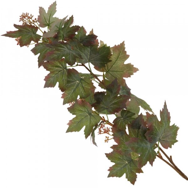 39703_253005b8d32d7879052c6b7ebb116c84