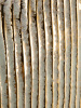 30502_C0053_15