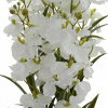38227_bc9d60cad87d392c914c71da158e66e4
