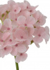 18268_A0015-PINK_6