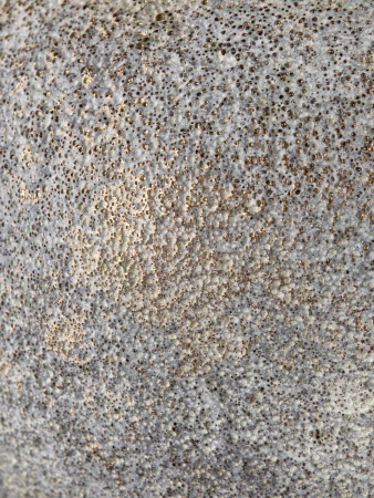 30335_C0046_16