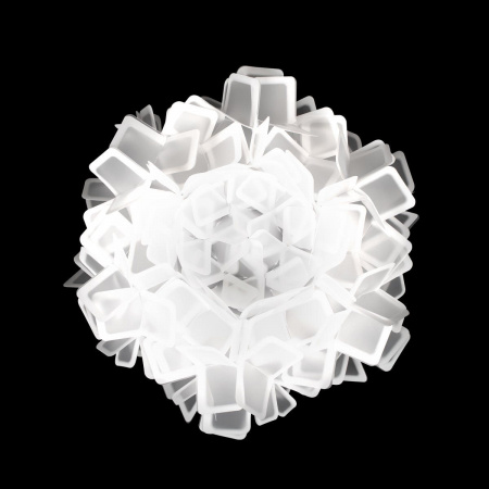 10231 530C White_4