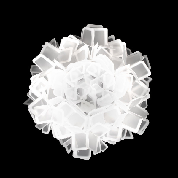 10231 530C White_4