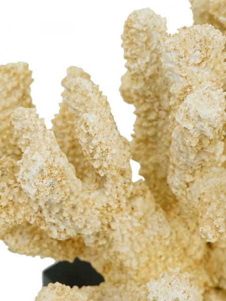 29185_70535_3
