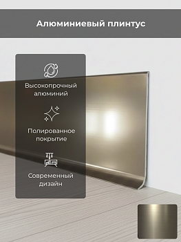 Плинтус 100 SKIRTING Н=100 алюм.блест. титан с кл.сл.L 2м BTBT 100A