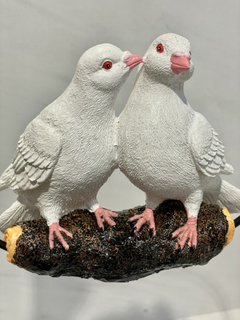 IMG_4940 (5)