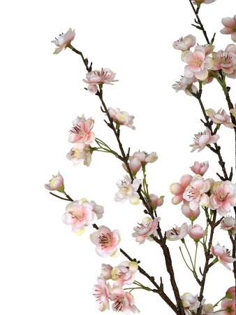 31491_A0023-PINK_3