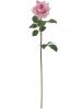 31318_A0005-PINK