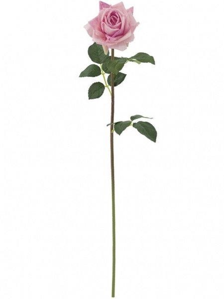 31318_A0005-PINK