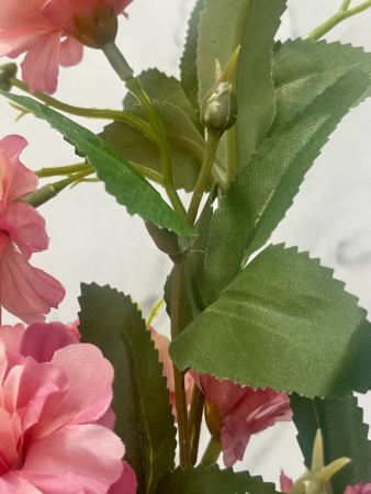 IMG_6345 (3)
