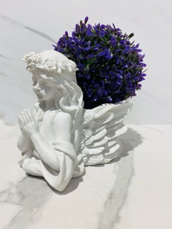 IMG_4454 (2)