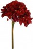 26963_58148-RED