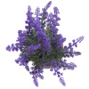 18954_487c727e2e57b440b64cb38627aa643c