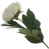 16528_de9d2179f5c9d1522b01644b9815643d
