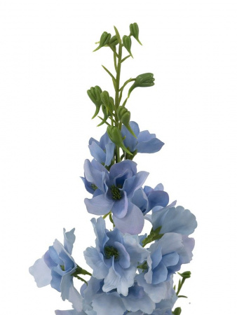 18295_A0027-BLUE_3