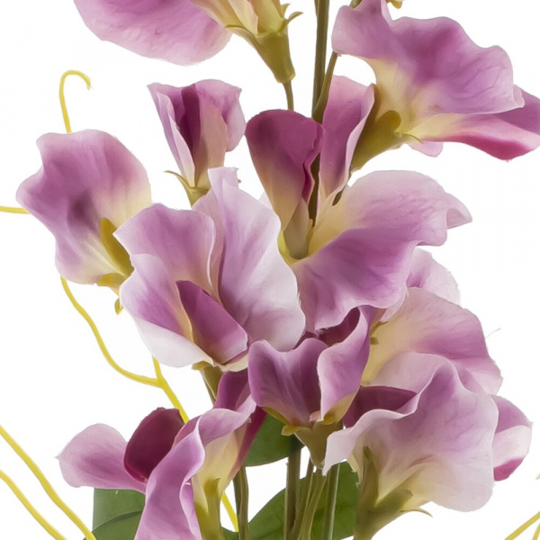 33038_f1b5031f0a305e19df2ac2dd8add2a33
