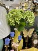 IMG_7457 (4)