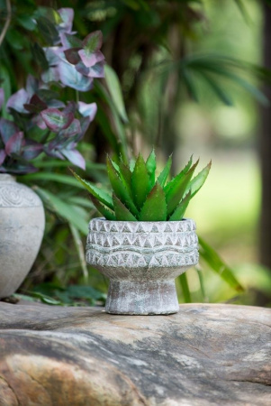 666_460173_6
