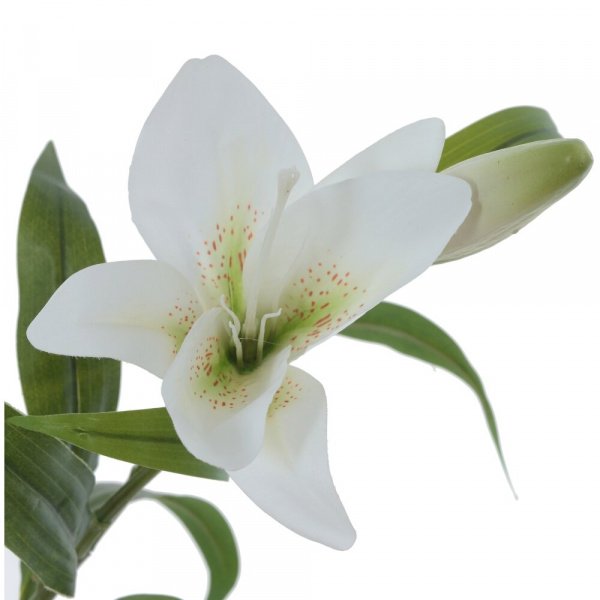 16547_46f7978f48af0ad895effaa999d25444