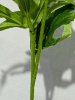 IMG_4017 (4)