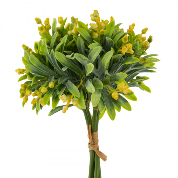 32830_84a2f560c850986c3ca06f1db0531640
