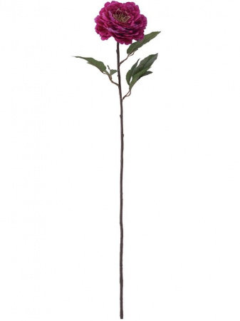31366_A0008-FUCH