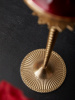 16646_61-010_7
