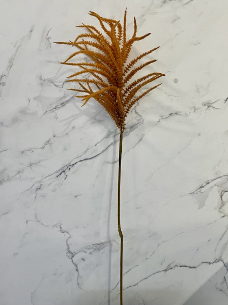 IMG_6132 (3)