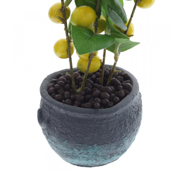31577_5aae204e986ae92ec8e260f7b834ae14