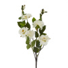 32813_d33941a1de6910f3728b13f69c72f389