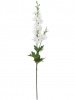 31534_A0027-WHIT