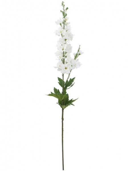 31534_A0027-WHIT