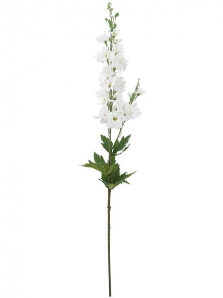 31534_A0027-WHIT