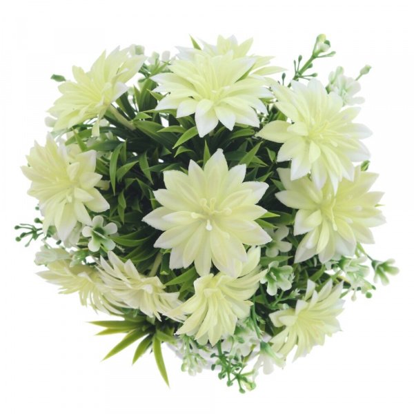 49878_bc03facb92c33d0ddbfb04dc230c1fae